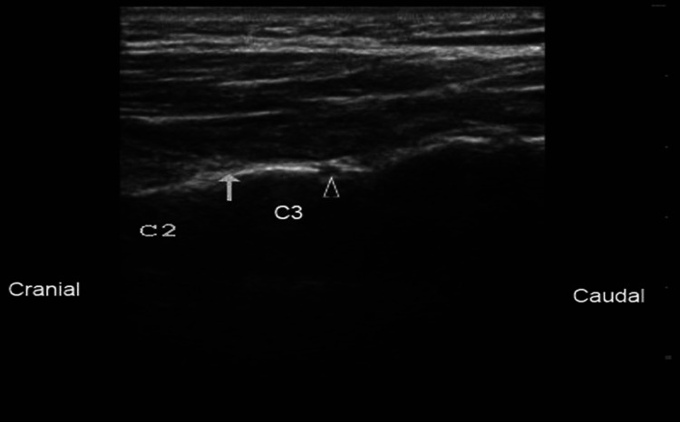 PMC10552787 – FIG2