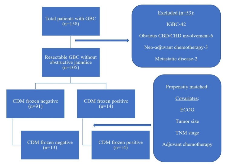 PMC10788702 – FIG1