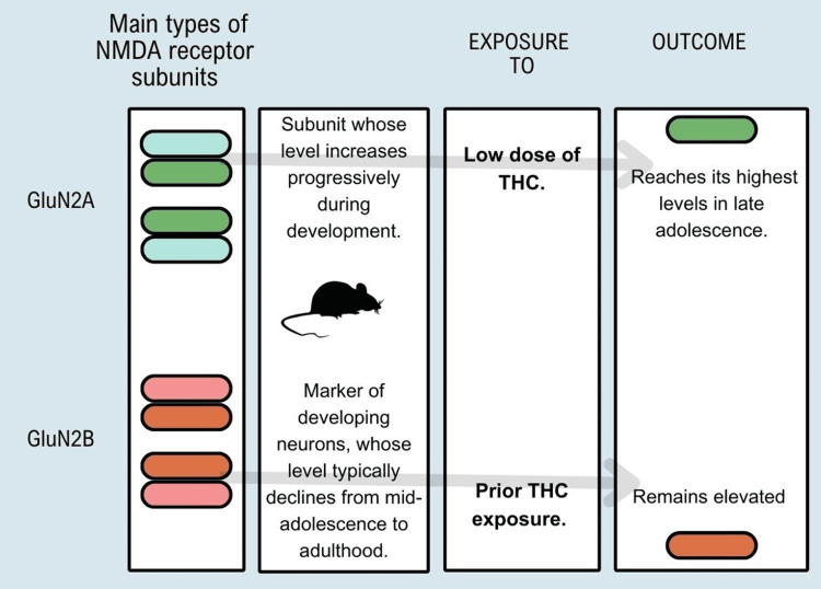PMC10867711 – FIG4