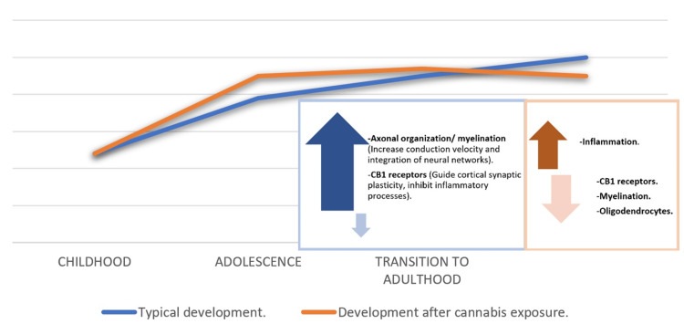 PMC10867711 – FIG5