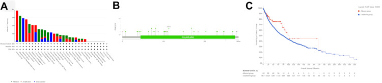 PMC11015913 – FIG7