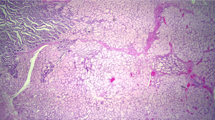 PMC11180534 – FIG8