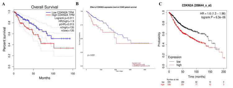 PMC11184547 – FIG6