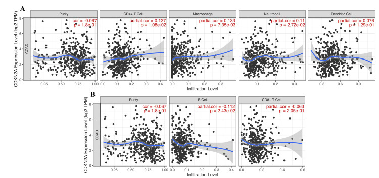 PMC11184547 – FIG8