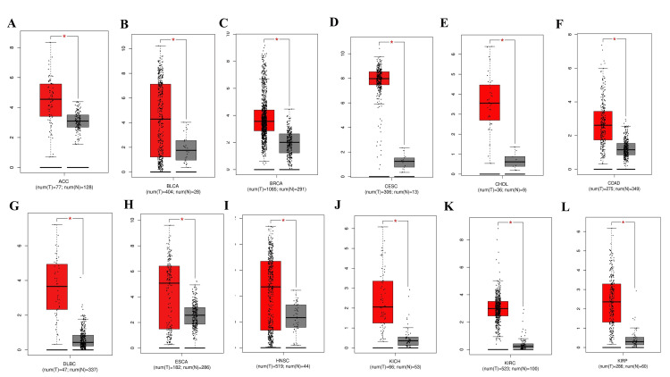 PMC11184547 – FIG10