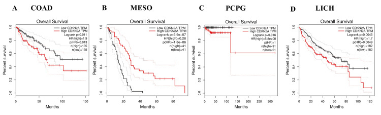 PMC11184547 – FIG14