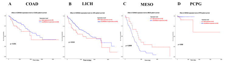 PMC11184547 – FIG15