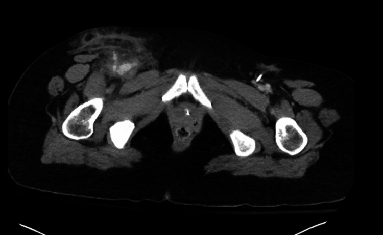 PMC11297651 – FIG4