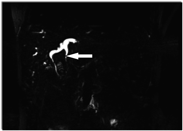 PMC11316851 – FIG2