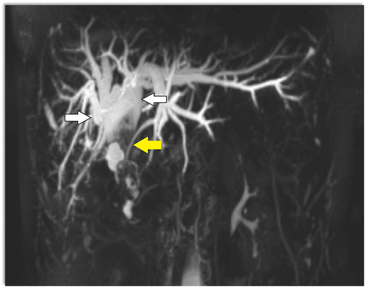 PMC11316851 – FIG3
