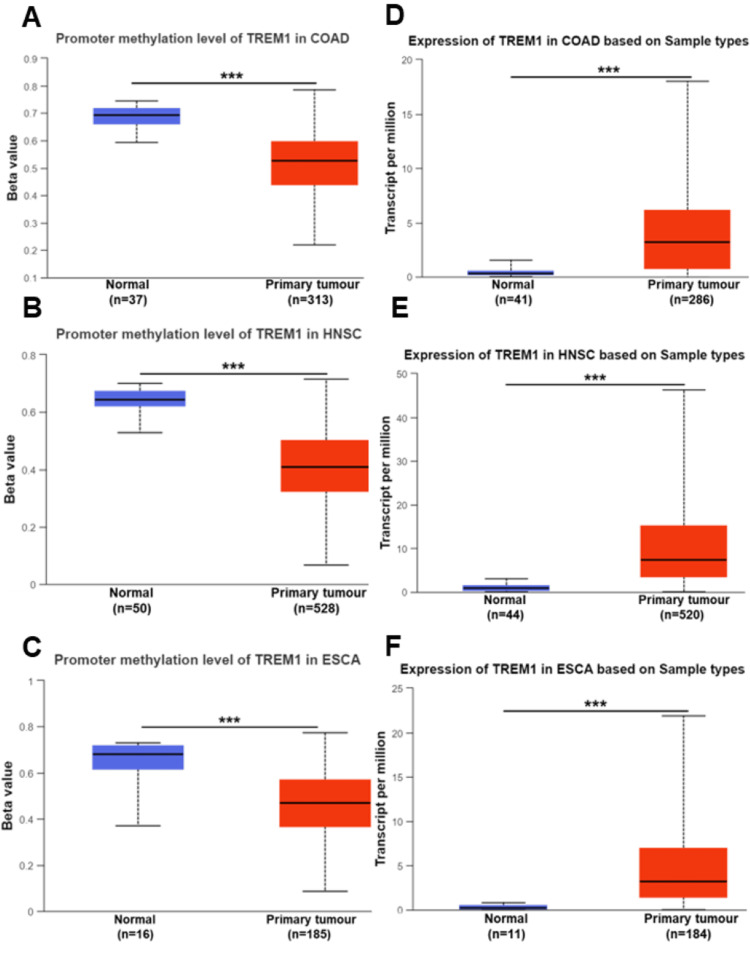 PMC11326766 – FIG1