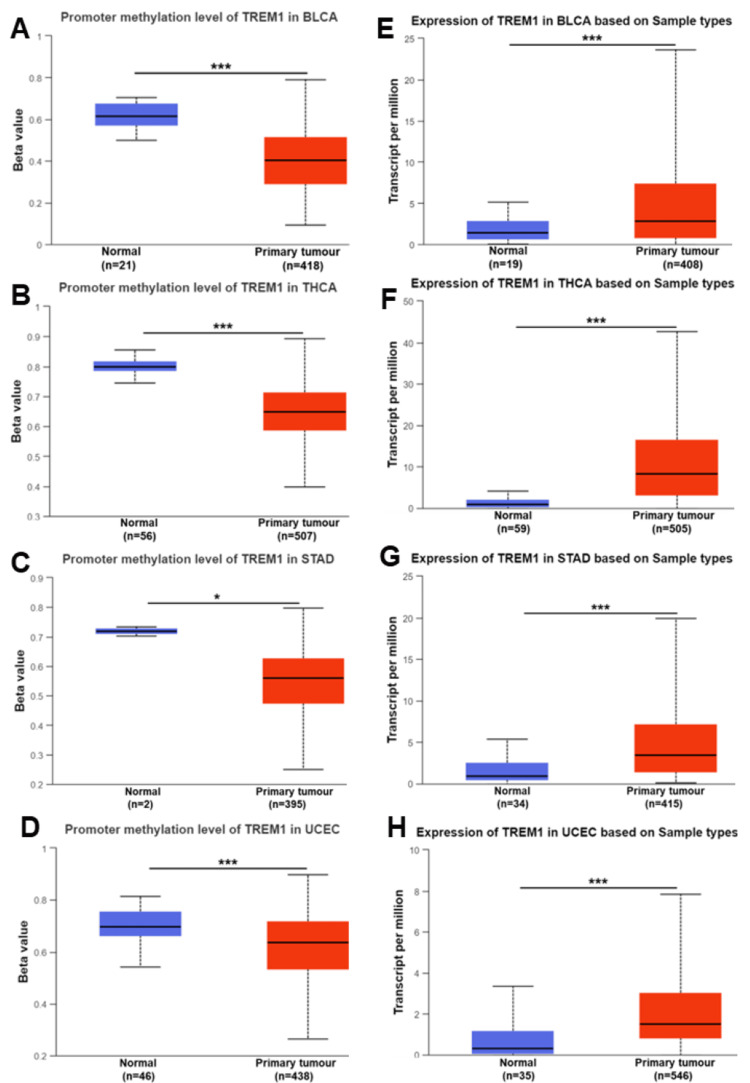 PMC11326766 – FIG3