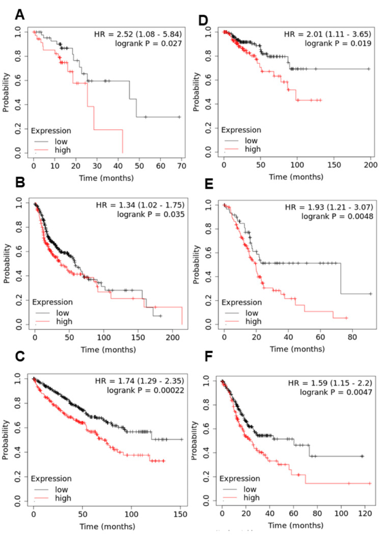 PMC11326766 – FIG4