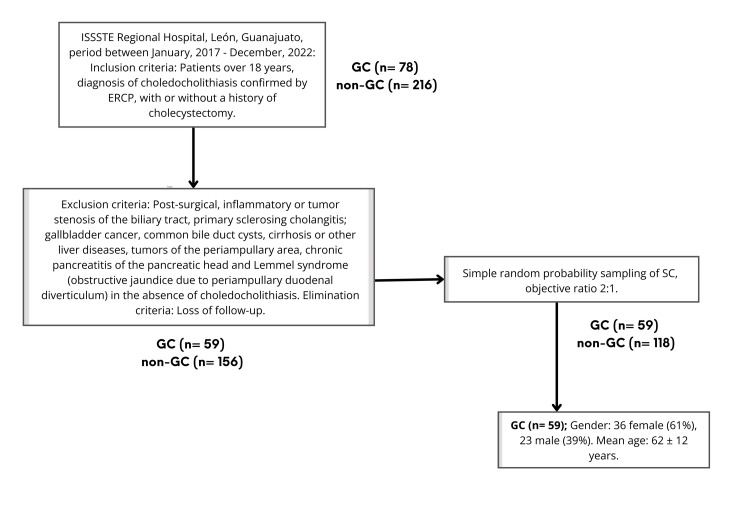 PMC11331015 – FIG1