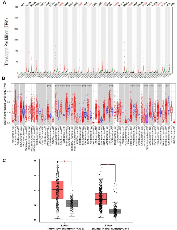 PMC11340256 – FIG1