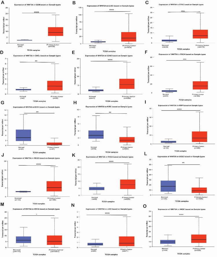 PMC11340256 – FIG2