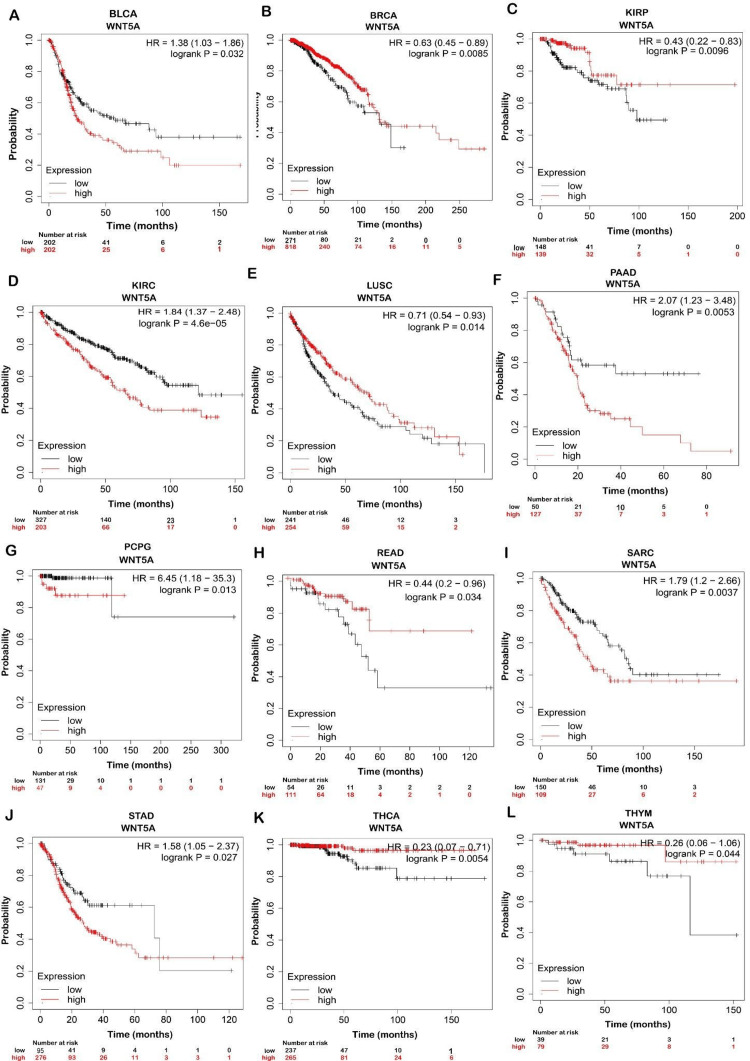 PMC11340256 – FIG4
