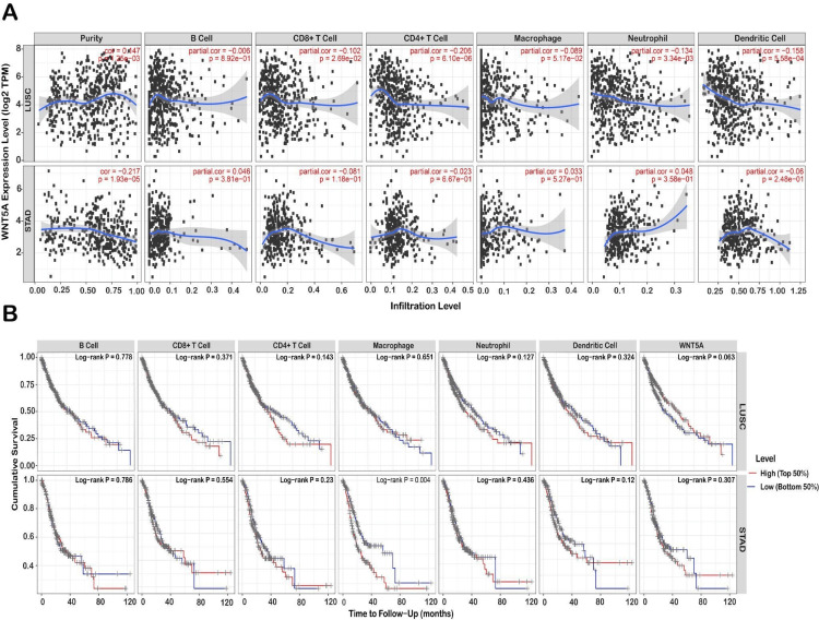 PMC11340256 – FIG6