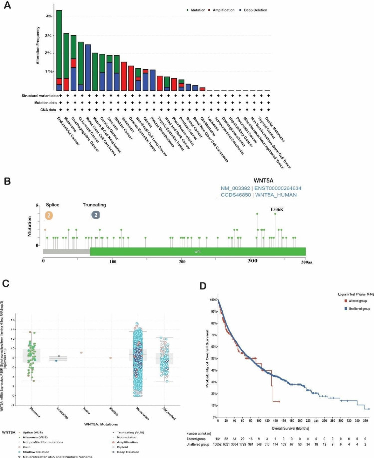 PMC11340256 – FIG7