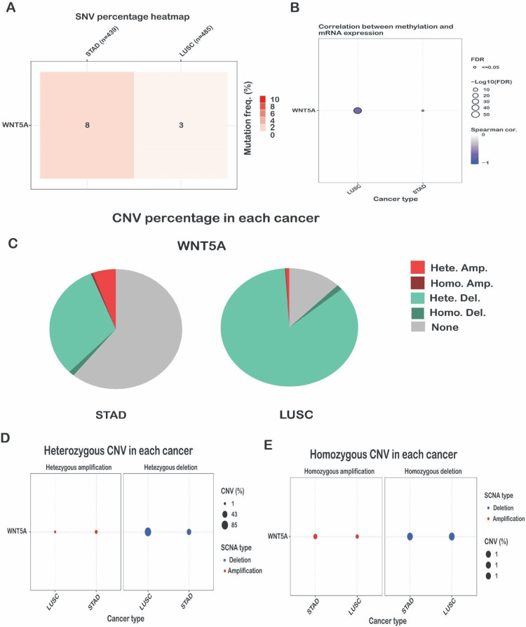 PMC11340256 – FIG8