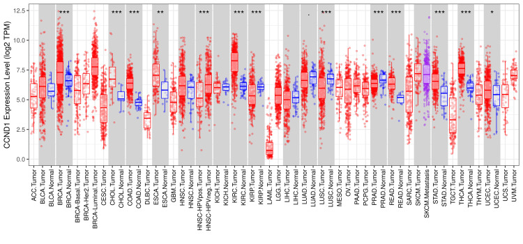 PMC11346133 – FIG1