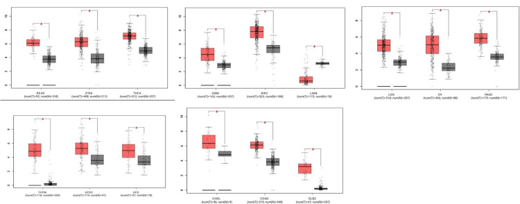 PMC11346133 – FIG2