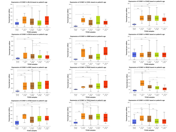 PMC11346133 – FIG5