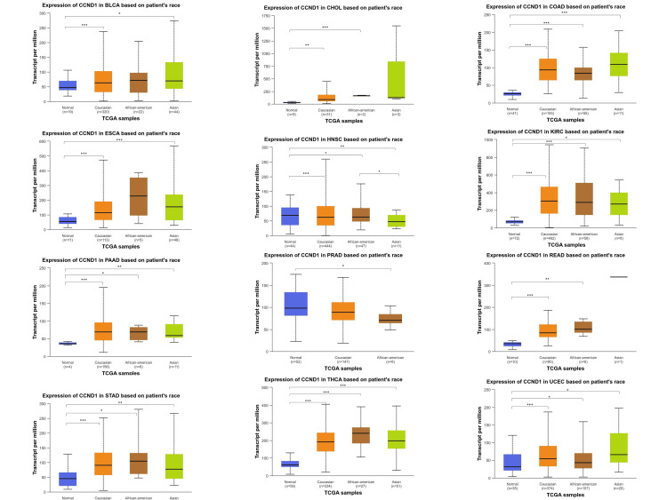 PMC11346133 – FIG6