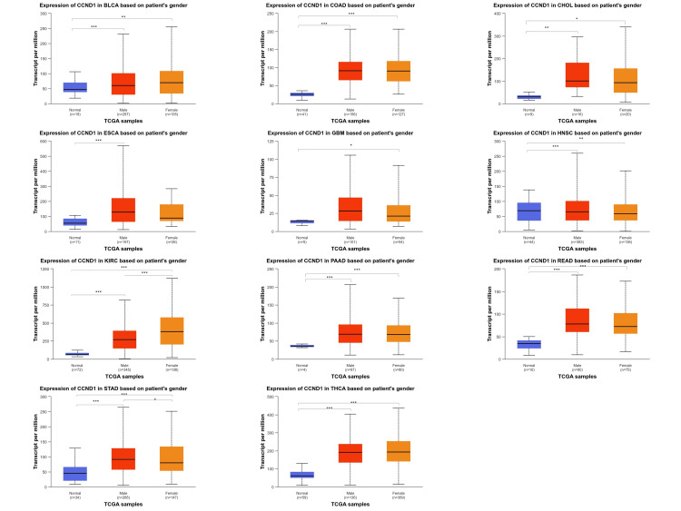 PMC11346133 – FIG7