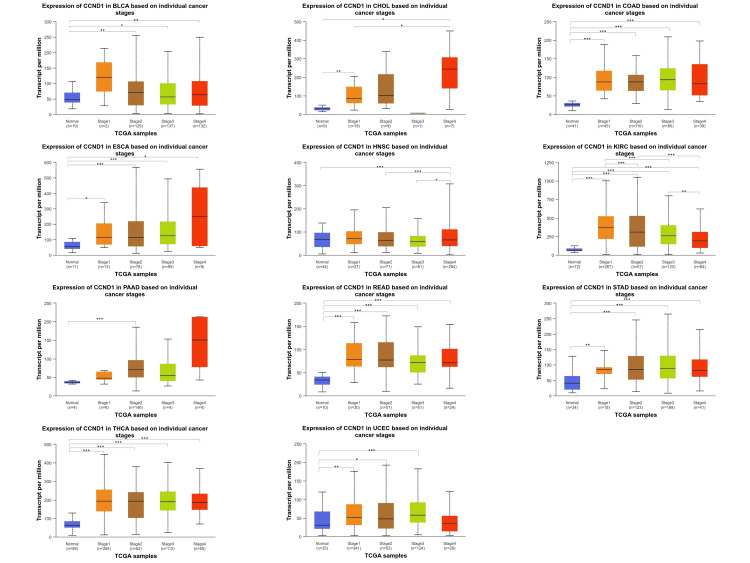 PMC11346133 – FIG8