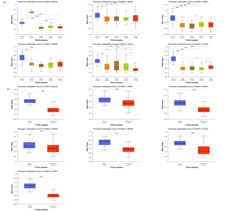 PMC11346133 – FIG10