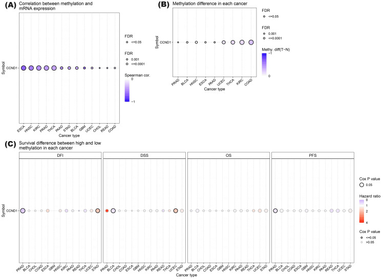PMC11346133 – FIG11
