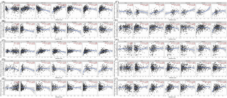 PMC11346133 – FIG12