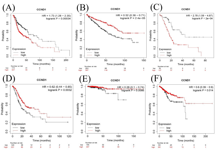 PMC11346133 – FIG15