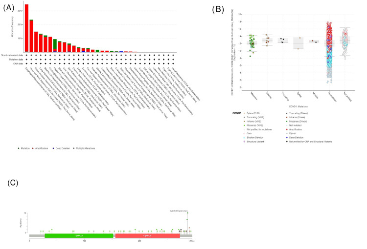 PMC11346133 – FIG16