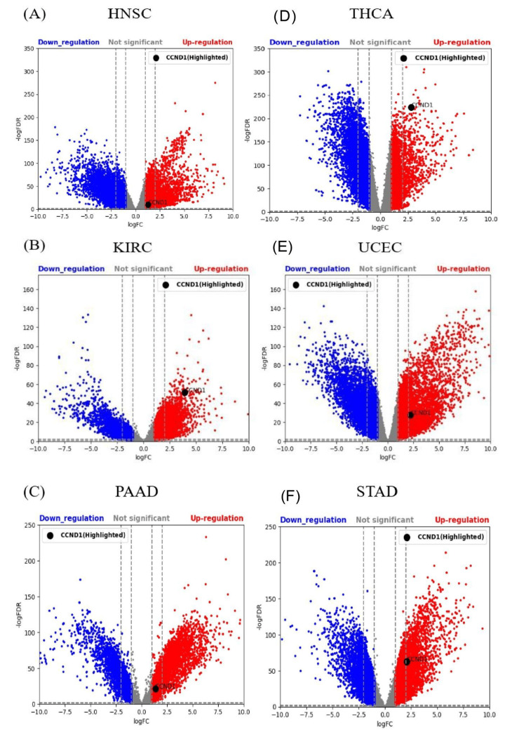PMC11346133 – FIG19