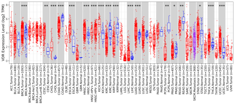 PMC11391166 – FIG1