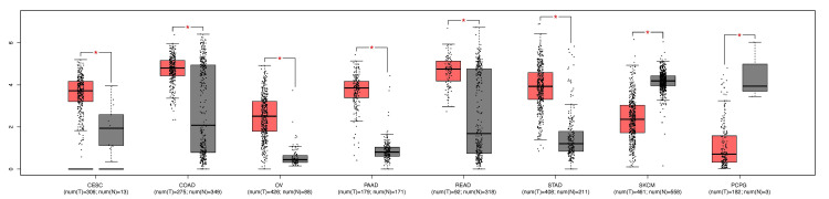 PMC11391166 – FIG2