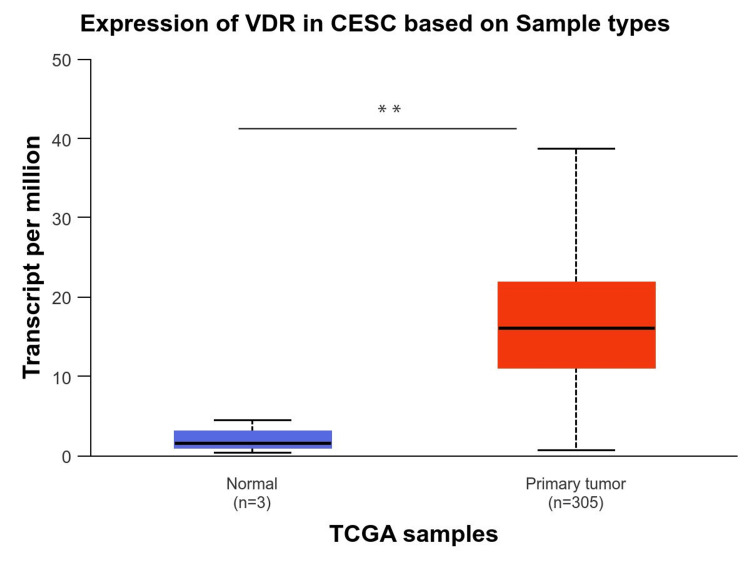 PMC11391166 – FIG3
