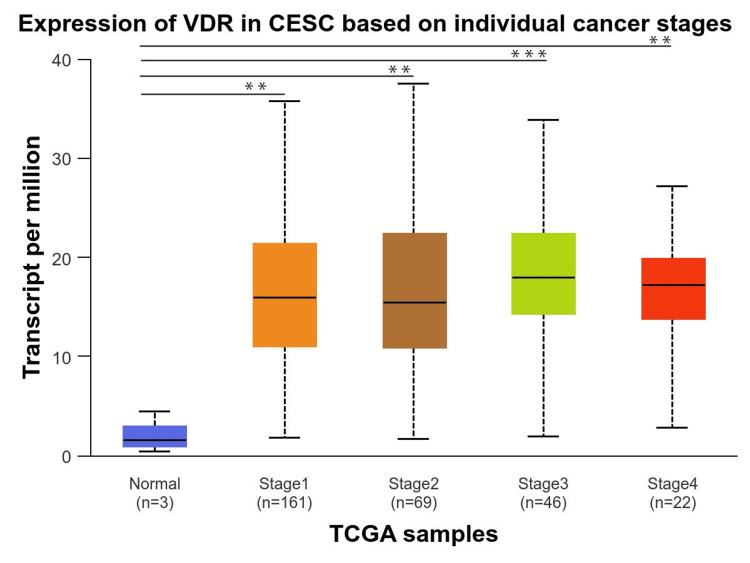 PMC11391166 – FIG6