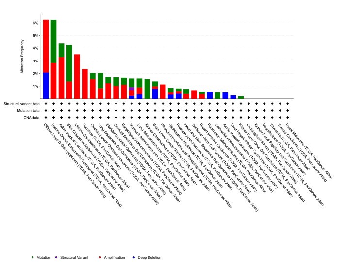PMC11391166 – FIG10