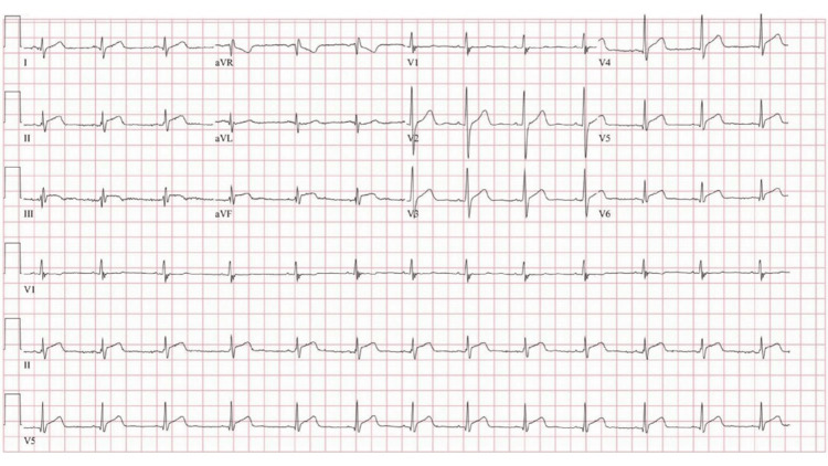 PMC11404528 – FIG1