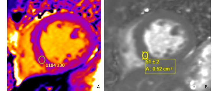 PMC11404528 – FIG4