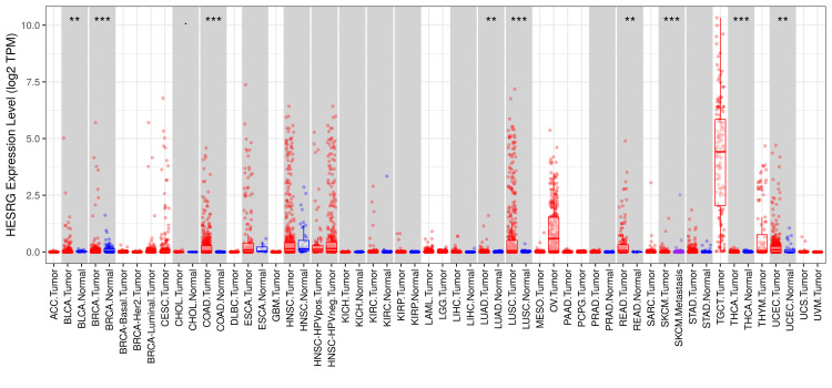 PMC11414139 – FIG1