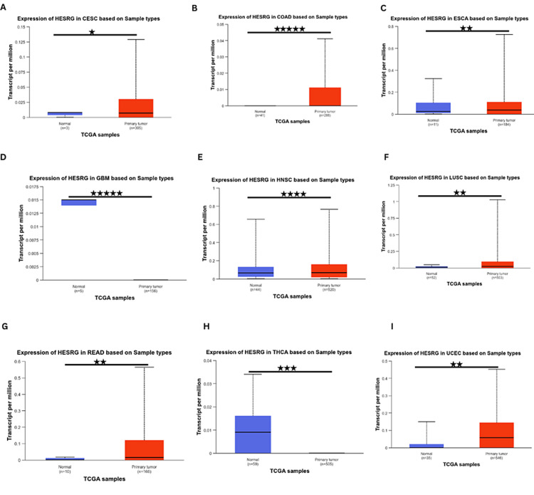 PMC11414139 – FIG2