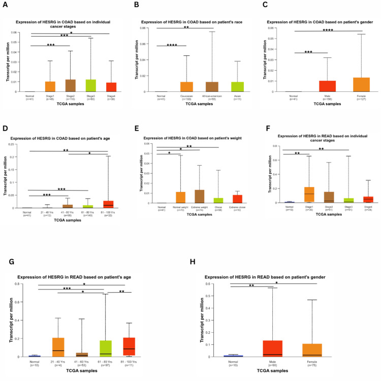 PMC11414139 – FIG3