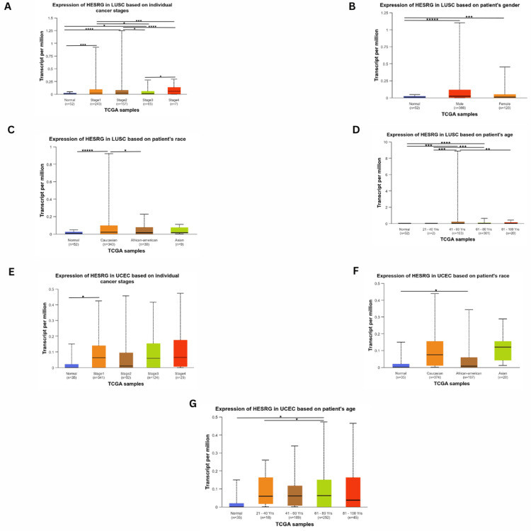 PMC11414139 – FIG4