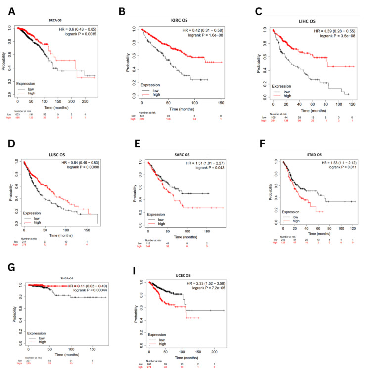 PMC11414139 – FIG5