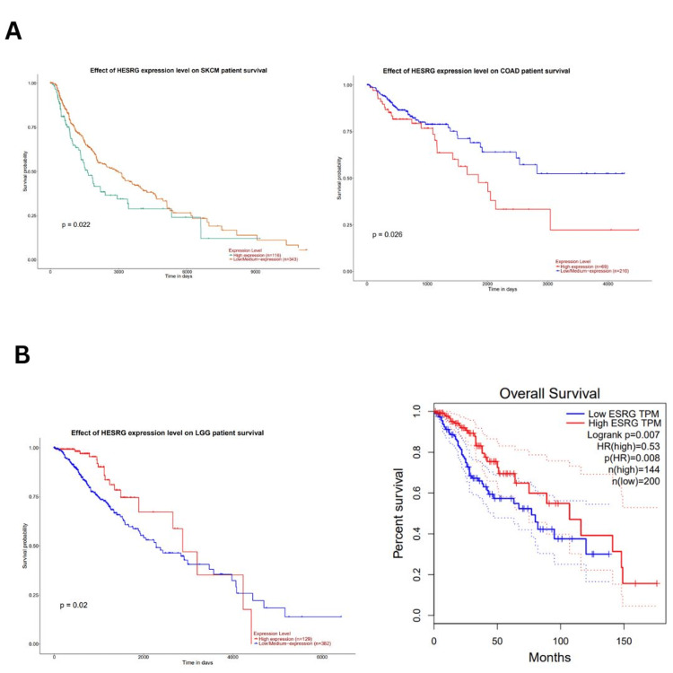 PMC11414139 – FIG6