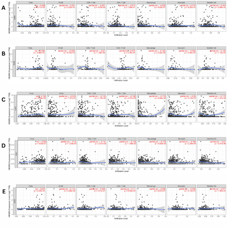 PMC11414139 – FIG7